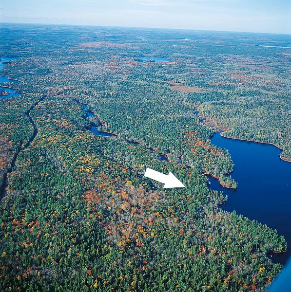 Private Islands For Sale Lake Properties On Canoe Lake Nova