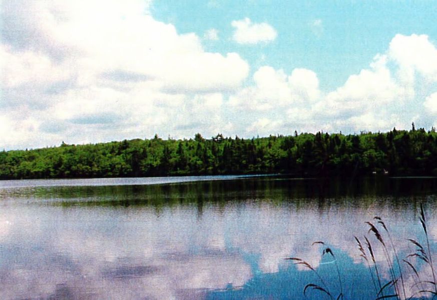 Private Islands for sale Properties at Gaspereau Lake Nova Scotia