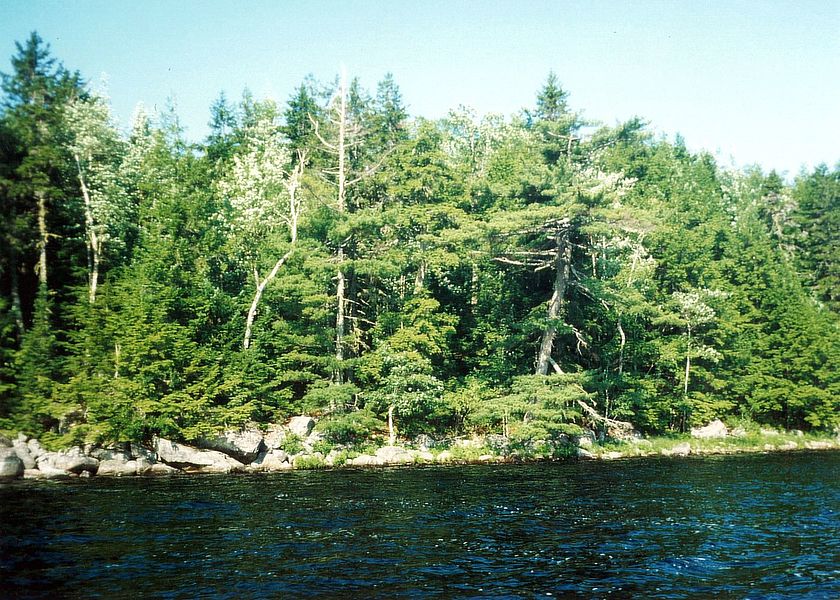 Private Islands For Sale Ponhook Lake Properties Nova Scotia